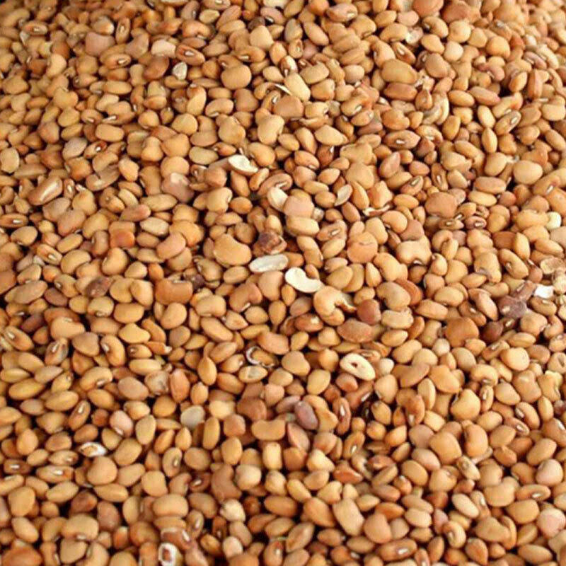 brown beans